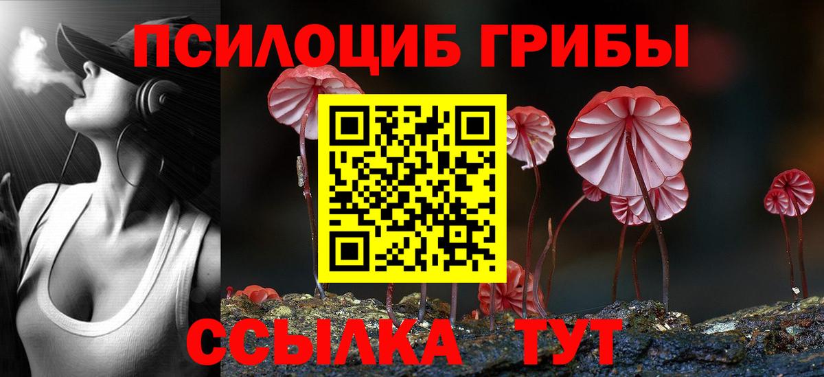 Псилоцибиновые грибы прущие грибы  Вход с VPN  купить наркотик  Кореновск 